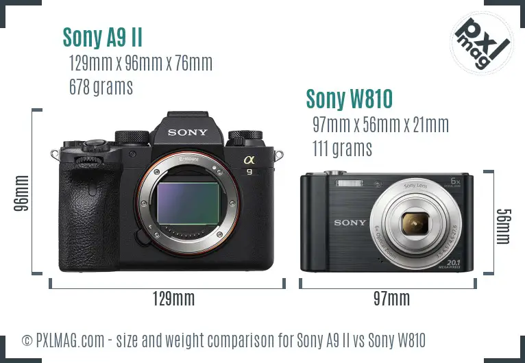 Sony A9 II vs Sony W810 size comparison