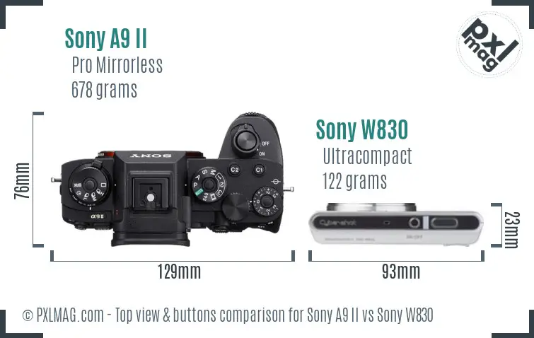 Sony A9 II vs Sony W830 top view buttons comparison