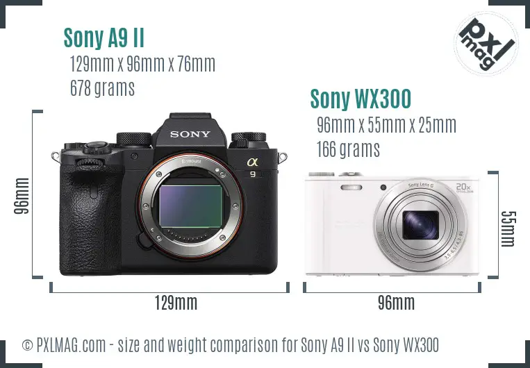 Sony A9 II vs Sony WX300 size comparison