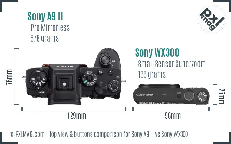 Sony A9 II vs Sony WX300 top view buttons comparison