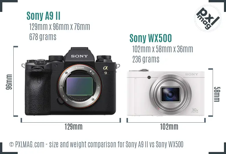 Sony A9 II vs Sony WX500 size comparison