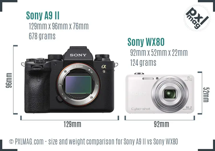 Sony A9 II vs Sony WX80 size comparison