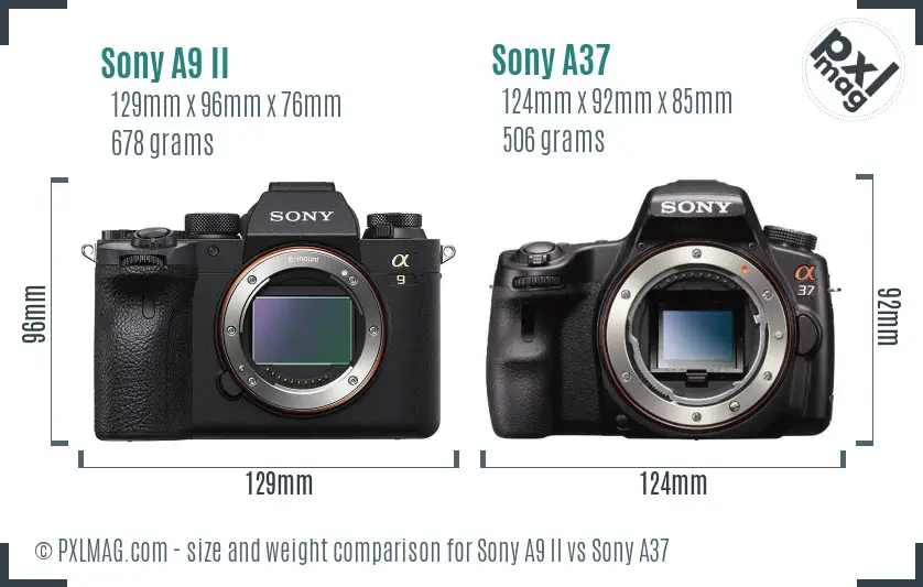 Sony A9 II vs Sony A37 size comparison