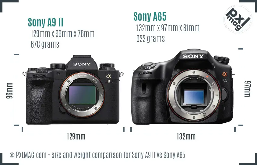 Sony A9 II vs Sony A65 size comparison