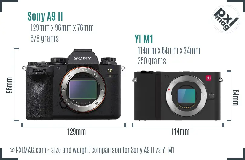 Sony A9 II vs YI M1 size comparison