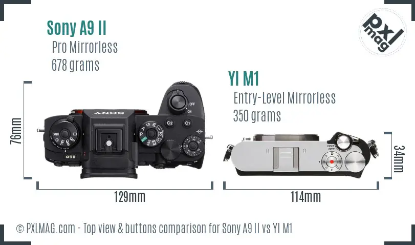 Sony A9 II vs YI M1 top view buttons comparison