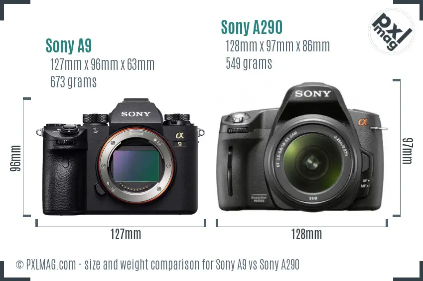 Sony A9 vs Sony A290 size comparison