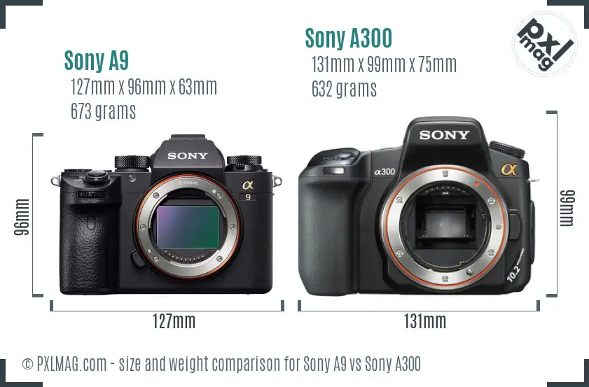Sony A9 vs Sony A300 size comparison