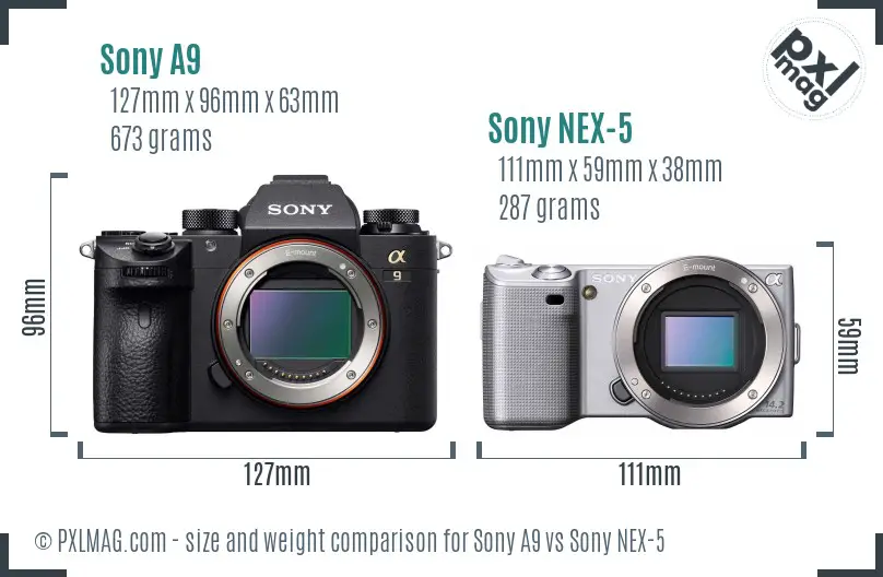 Sony A9 vs Sony NEX-5 size comparison