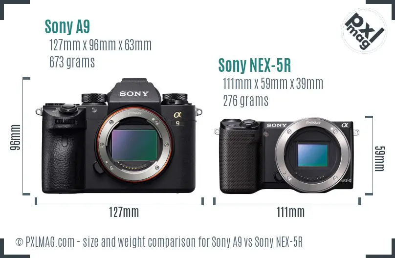 Sony A9 vs Sony NEX-5R size comparison