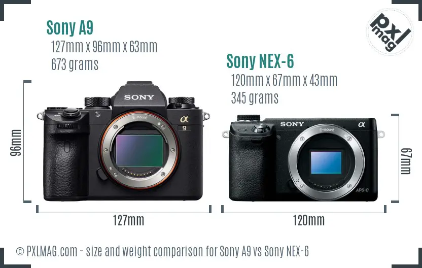 Sony A9 vs Sony NEX-6 size comparison