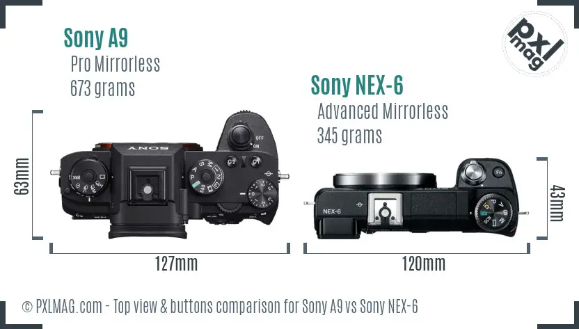 Sony A9 vs Sony NEX-6 top view buttons comparison