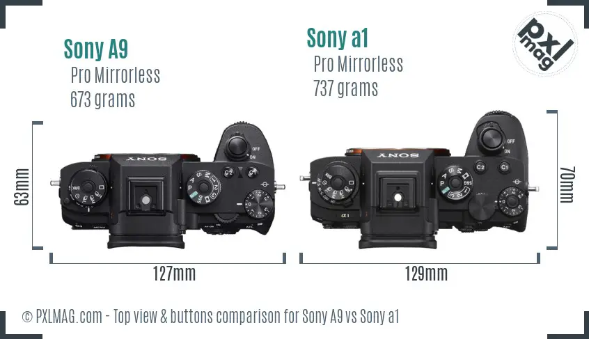Sony A9 vs Sony a1 top view buttons comparison