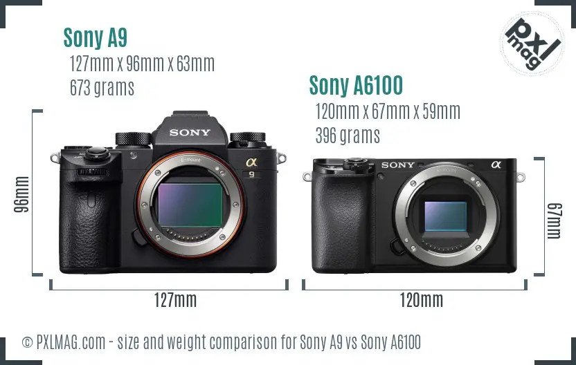 Sony A9 vs Sony A6100 size comparison