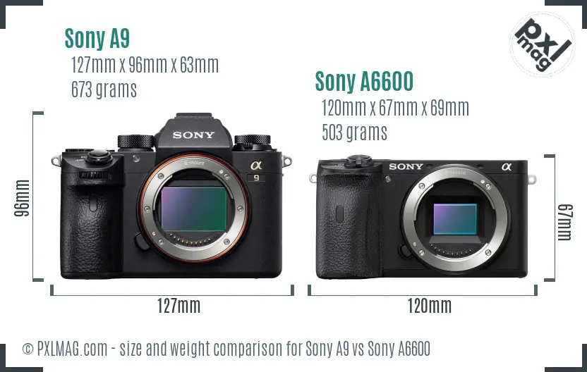Sony A9 vs Sony A6600 size comparison