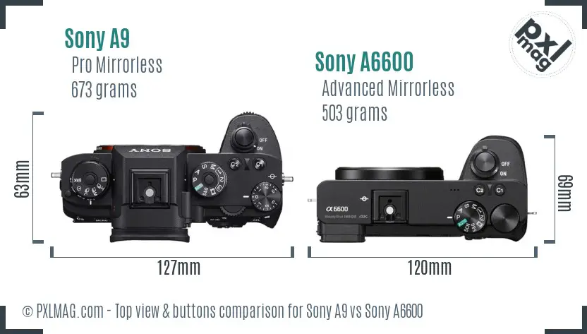 Sony A9 vs Sony A6600 top view buttons comparison