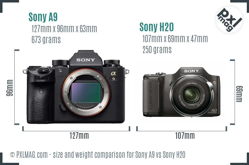 Sony A9 vs Sony H20 size comparison