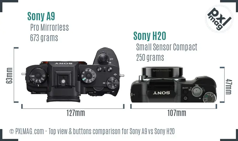 Sony A9 vs Sony H20 top view buttons comparison