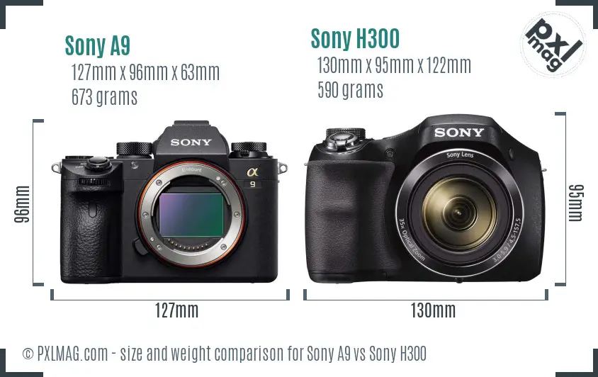 Sony A9 vs Sony H300 size comparison