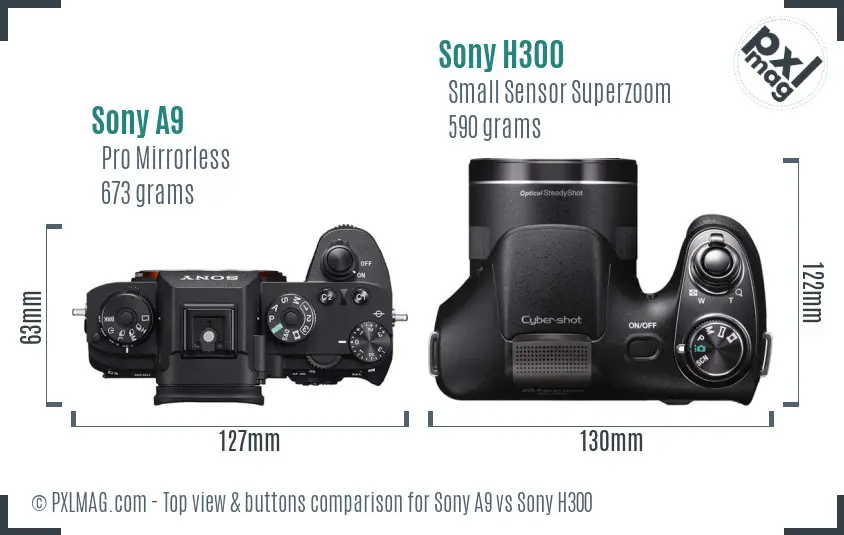 Sony A9 vs Sony H300 top view buttons comparison