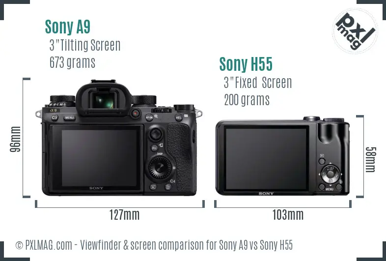 Sony A9 vs Sony H55 Screen and Viewfinder comparison