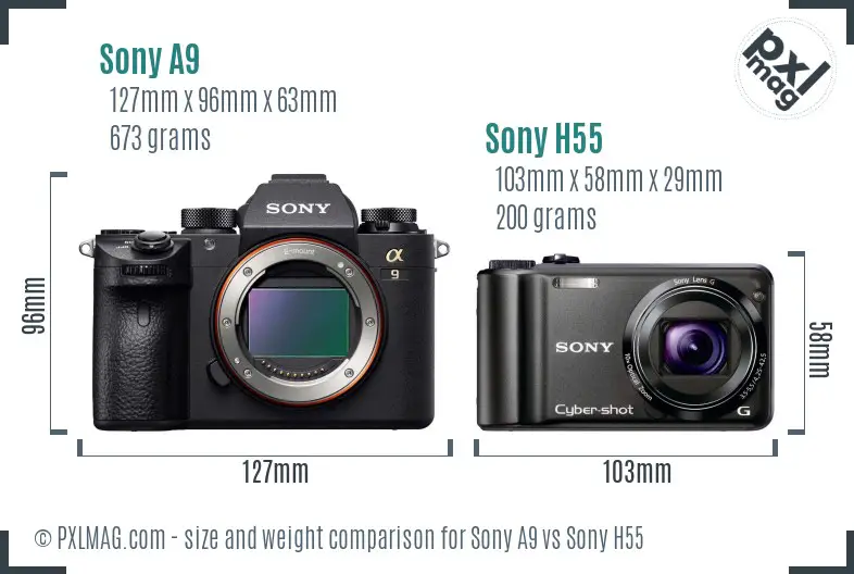 Sony A9 vs Sony H55 size comparison