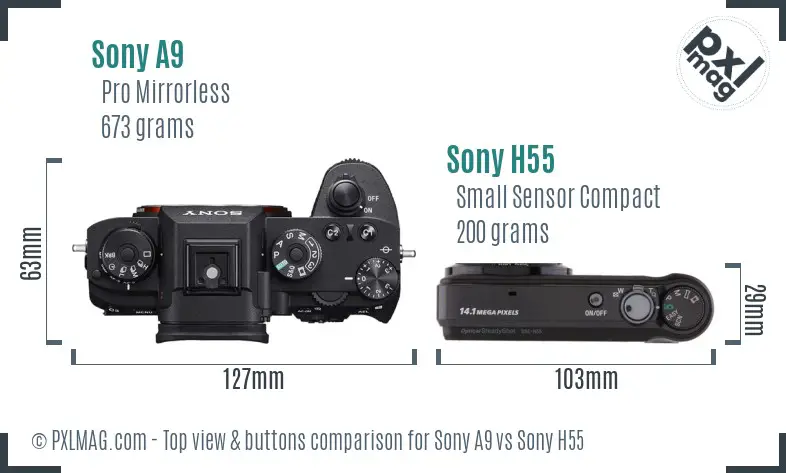 Sony A9 vs Sony H55 top view buttons comparison