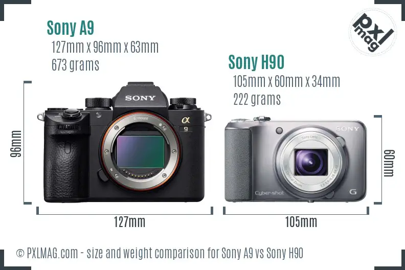 Sony A9 vs Sony H90 size comparison