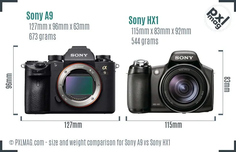 Sony A9 vs Sony HX1 size comparison