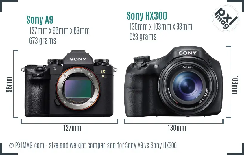 Sony A9 vs Sony HX300 size comparison