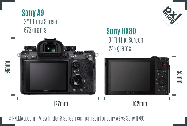 Sony A9 vs Sony HX80 Screen and Viewfinder comparison