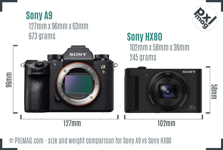 Sony A9 vs Sony HX80 size comparison