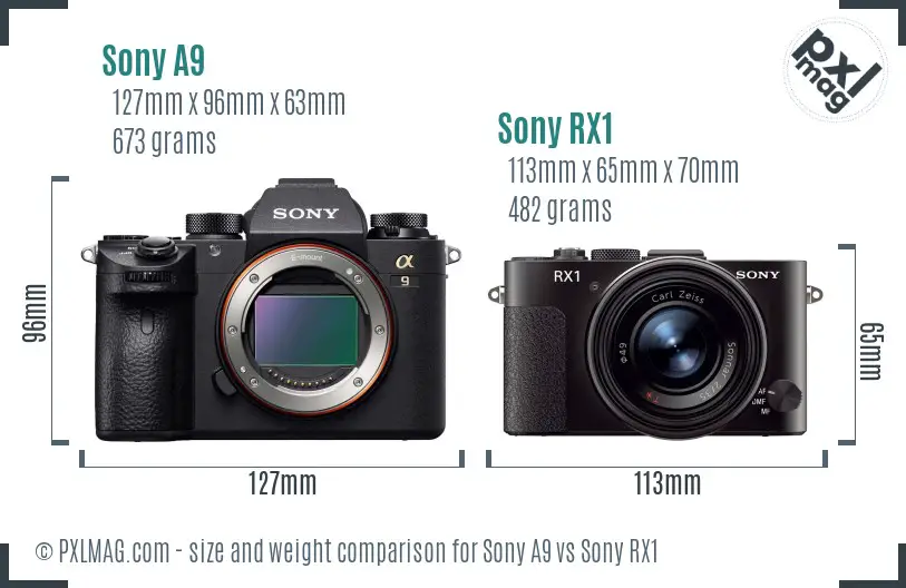 Sony A9 vs Sony RX1 size comparison