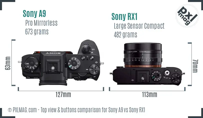 Sony A9 vs Sony RX1 top view buttons comparison