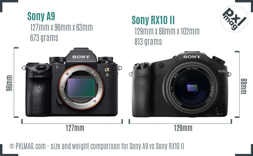 Sony A9 vs Sony RX10 II size comparison
