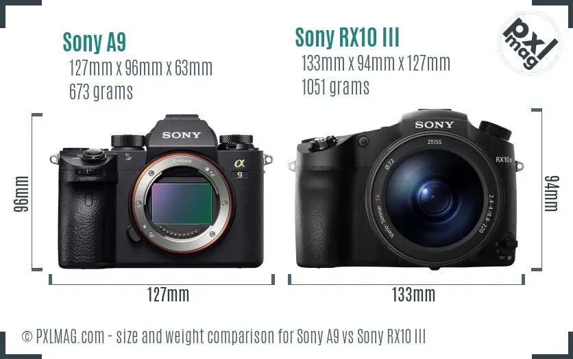 Sony A9 vs Sony RX10 III size comparison