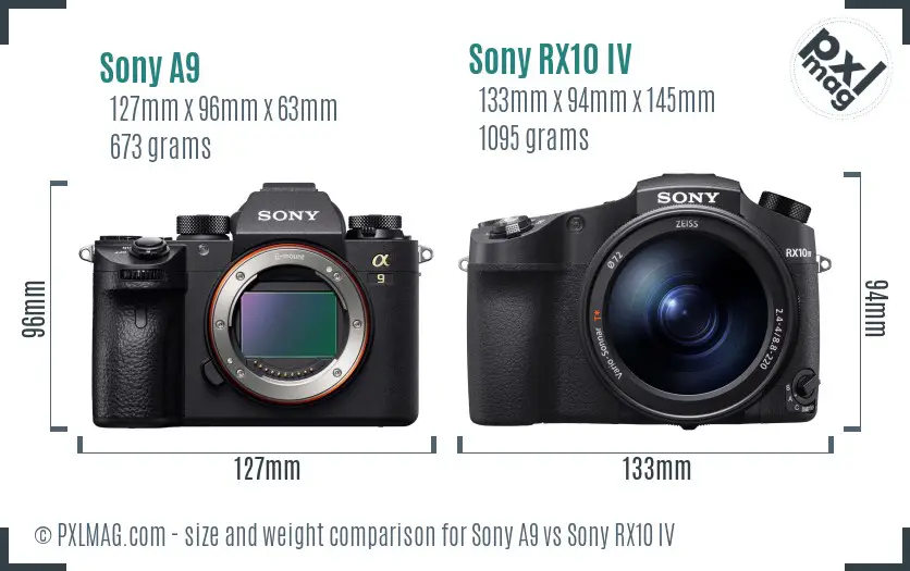 Sony A9 vs Sony RX10 IV size comparison