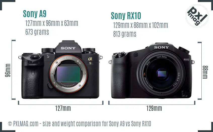 Sony A9 vs Sony RX10 size comparison
