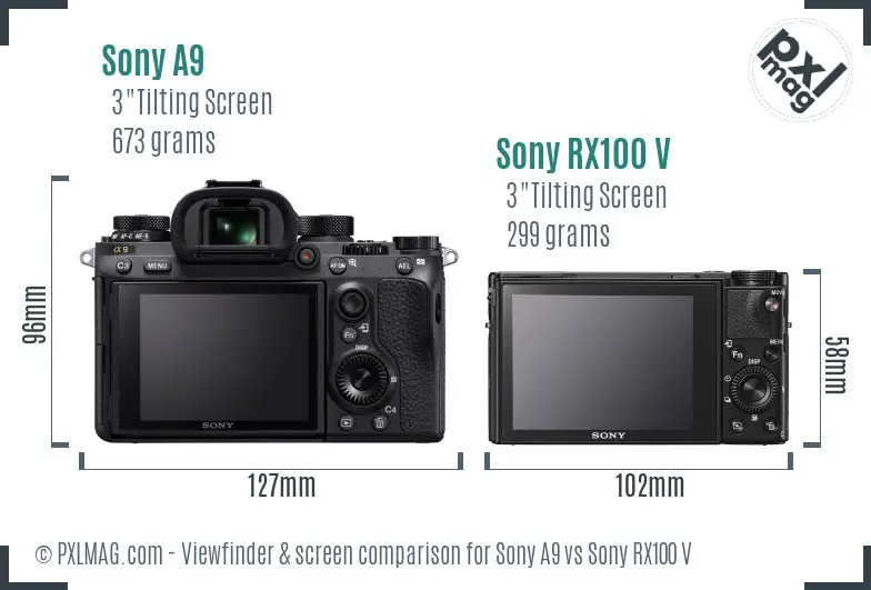 Sony A9 vs Sony RX100 V Screen and Viewfinder comparison