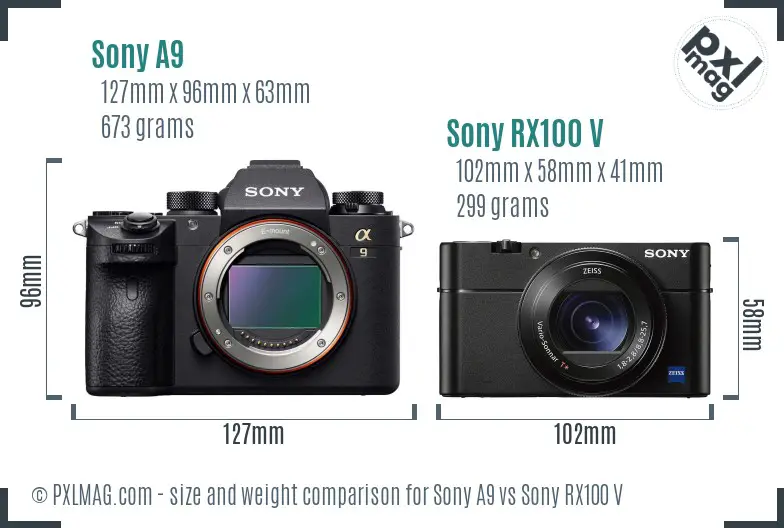 Sony A9 vs Sony RX100 V size comparison