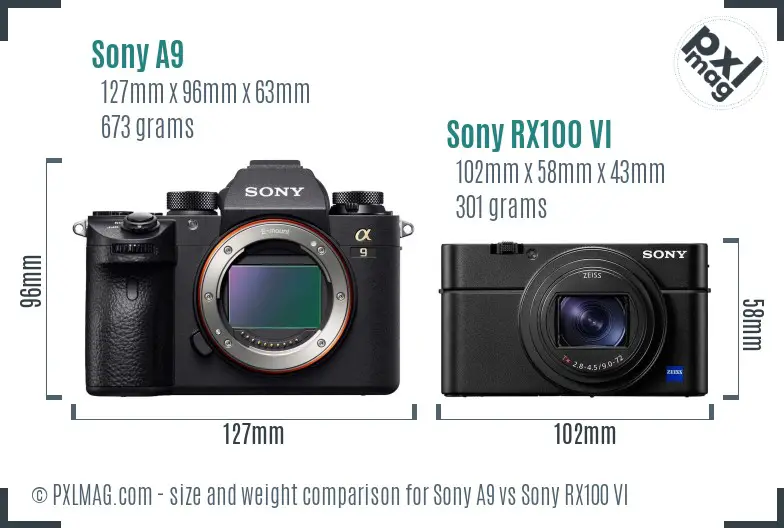 Sony A9 vs Sony RX100 VI size comparison
