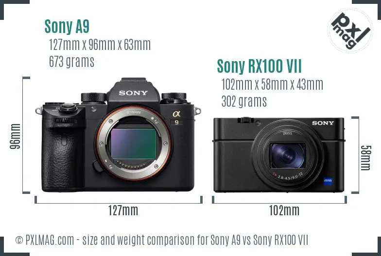 Sony A9 vs Sony RX100 VII size comparison