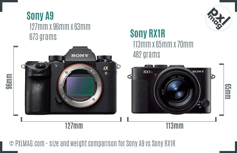 Sony A9 vs Sony RX1R size comparison
