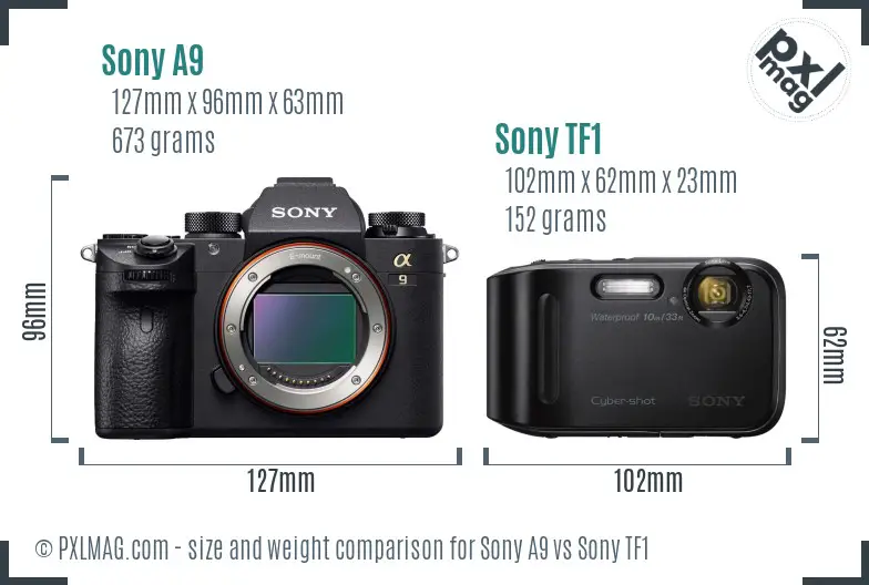 Sony A9 vs Sony TF1 size comparison