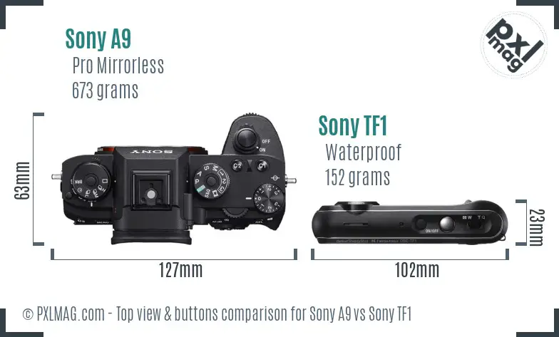 Sony A9 vs Sony TF1 top view buttons comparison