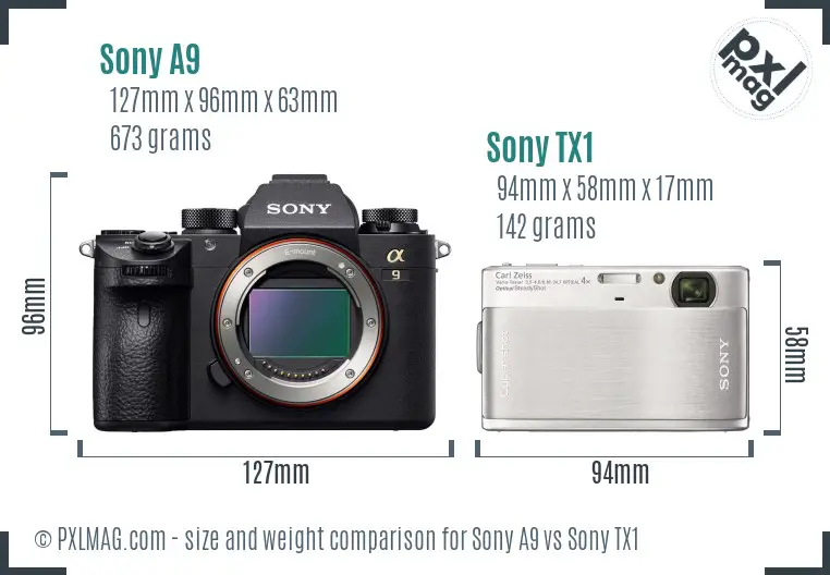 Sony A9 vs Sony TX1 size comparison