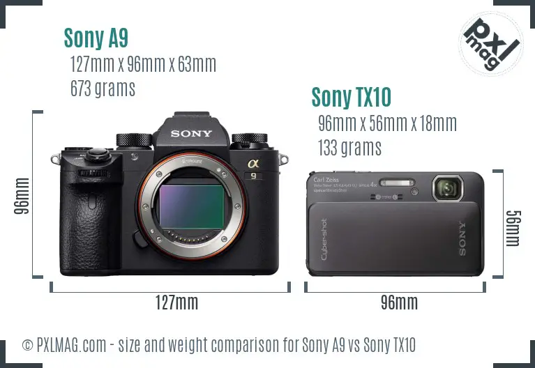 Sony A9 vs Sony TX10 size comparison