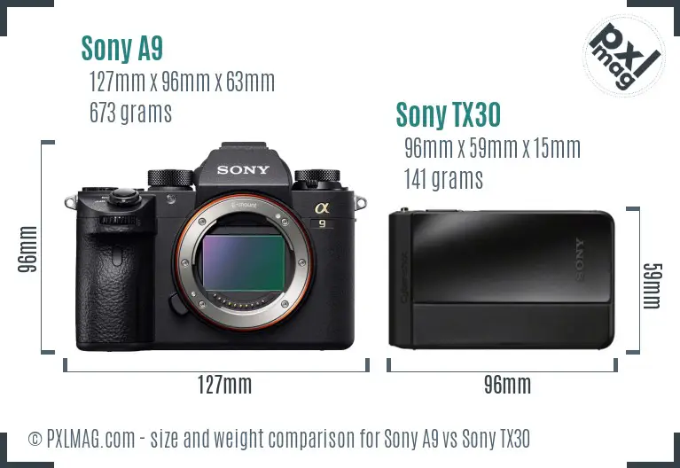 Sony A9 vs Sony TX30 size comparison