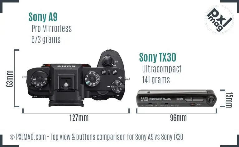 Sony A9 vs Sony TX30 top view buttons comparison