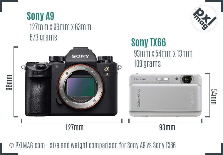 Sony A9 vs Sony TX66 size comparison
